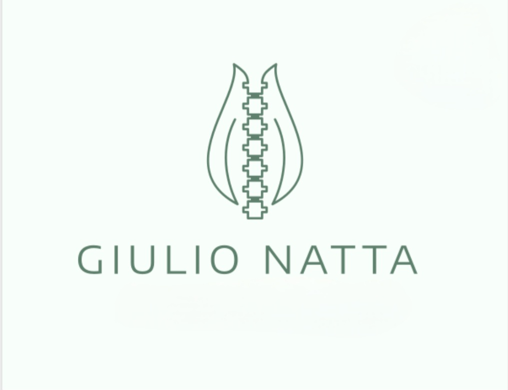 Logo Giulio Natta